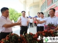 高州荔枝电商占六成，2023收获季果农收入平均增长20%