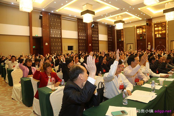 党代表一致表决通过大会相关决议.JPG